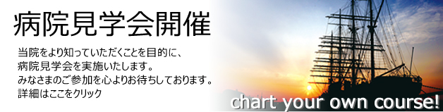 �̽��ϥӥ�ơ�����󡡲���Τ